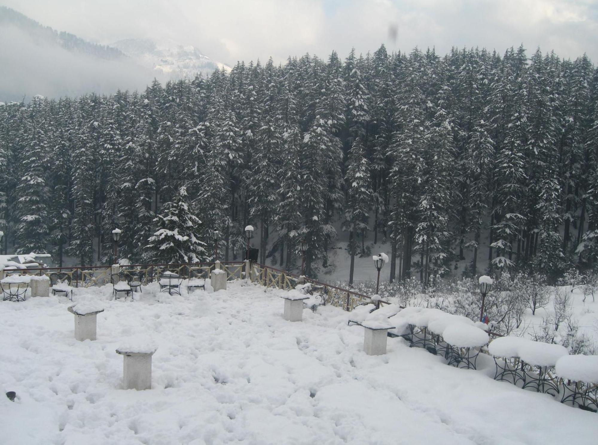 Snow Valley Resorts & Spa Manali Eksteriør bilde