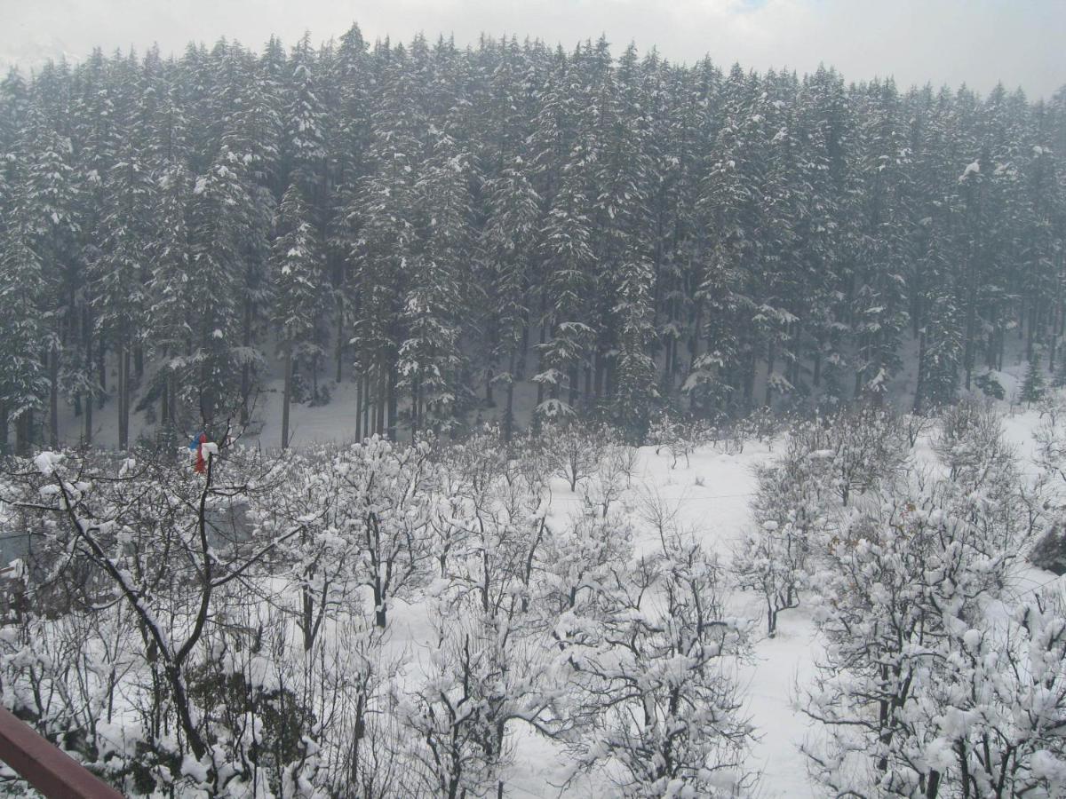 Snow Valley Resorts & Spa Manali Eksteriør bilde